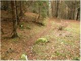 Planina Blato - Planina pod Mišelj vrhom